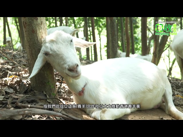 DOCUMENTARY VIDEO FOR 回收基金 (PACKAGE F） — V1 NGO Hub企業影片製作作品